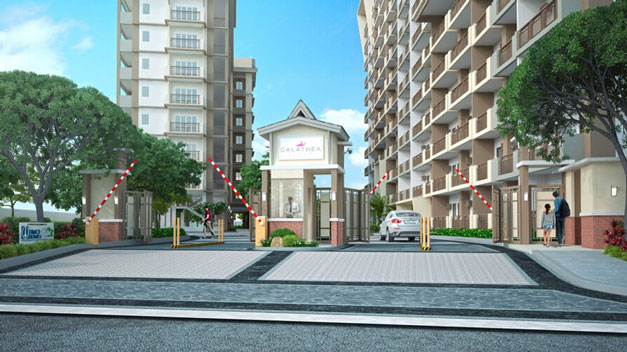 Calathea Place-featured